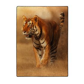 SAVANNA TIGER